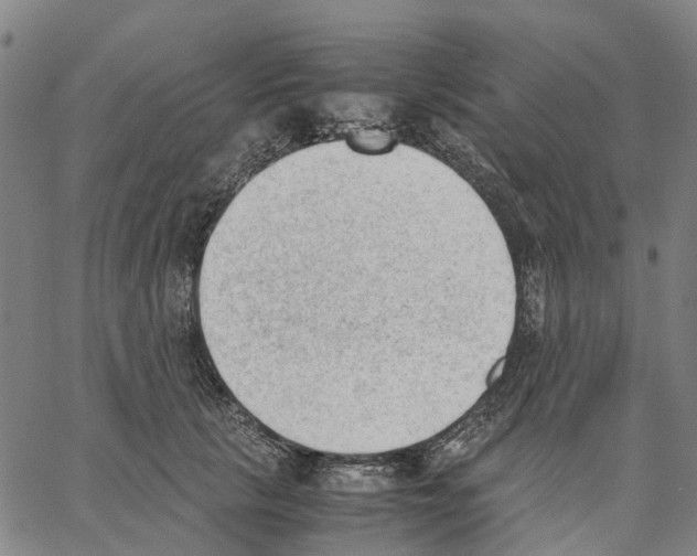 X0000062870657200602101653