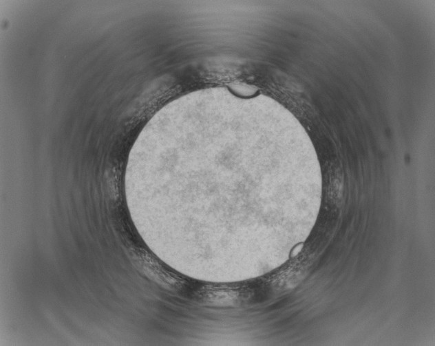 X0000062870658200602101653