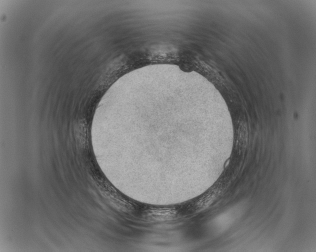 X0000062870659200602101653