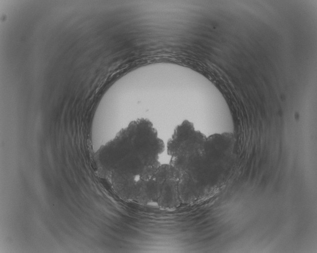 X0000062870660200602101653