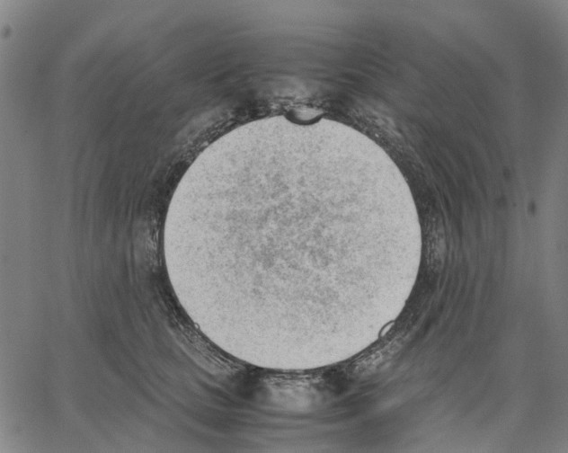 X0000062870661200602101653