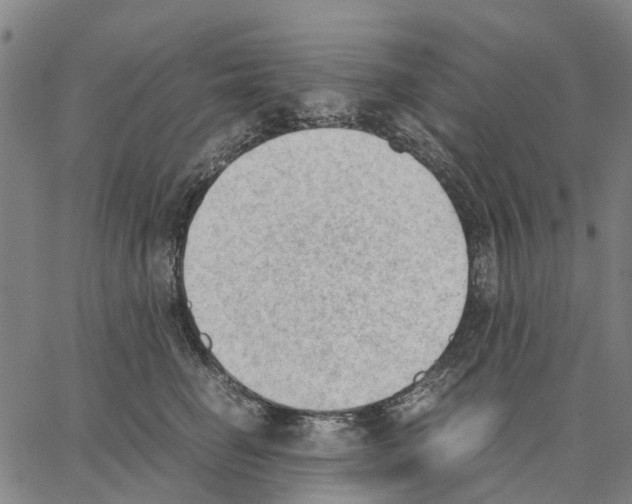 X0000062870662200602101653