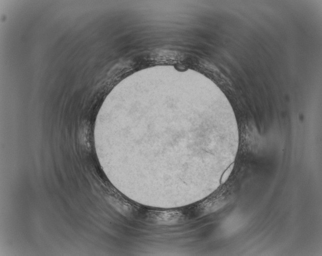 X0000062870663200602101653