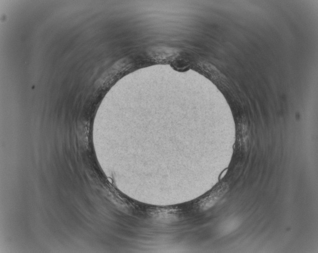 X0000062870664200602101653