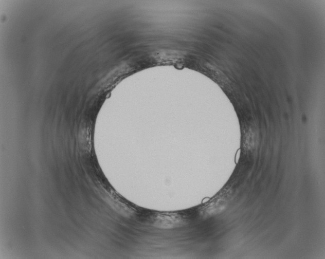 X0000062870666200602101653