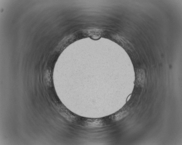 X0000062870667200602101653