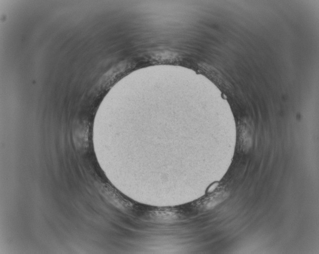 X0000062870668200602101653