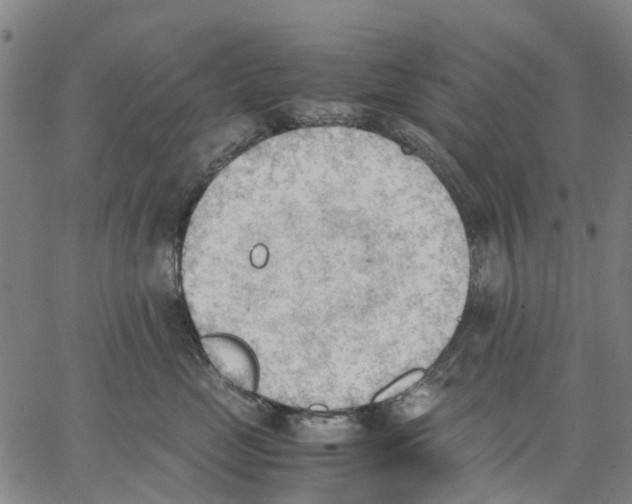 X0000062870669200602101653