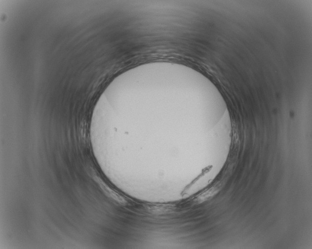 X0000062870670200602101653