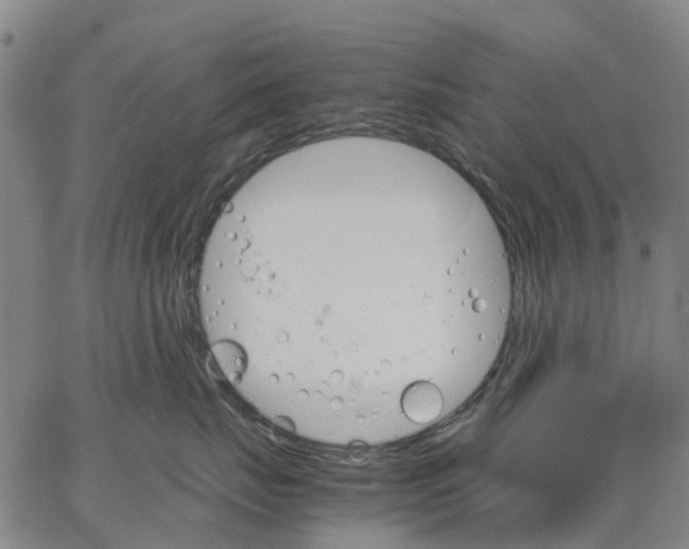 X0000062870671200602101653