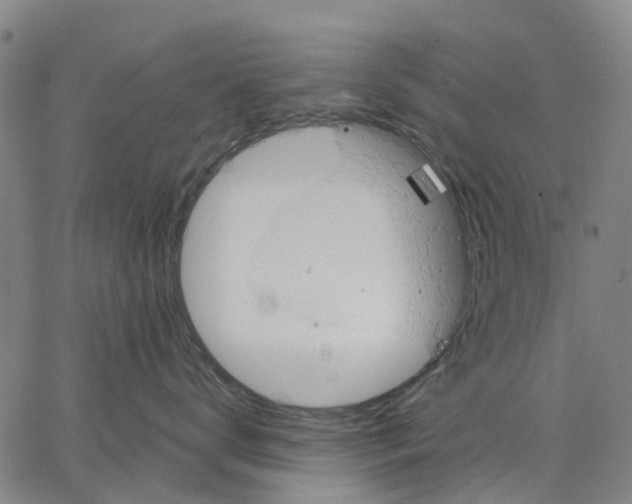 X0000062870672200602101653