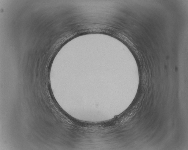 X0000062870673200602101652