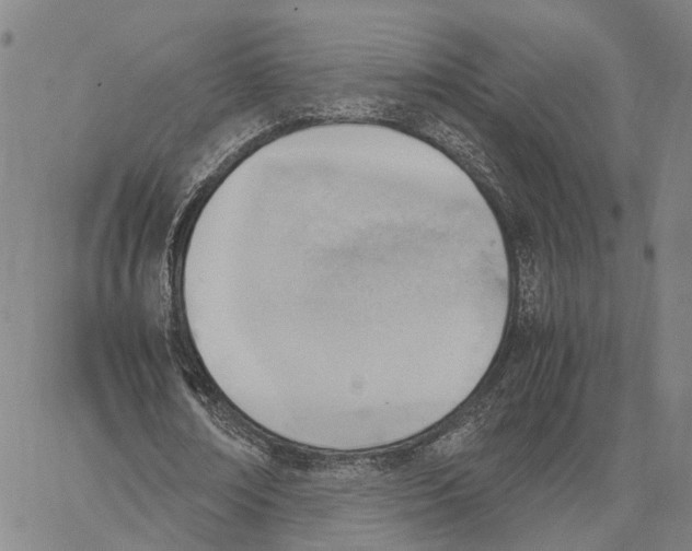 X0000062870674200602101652