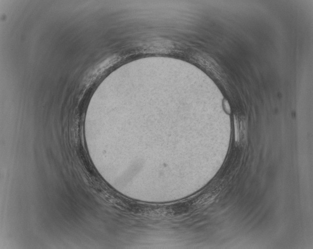 X0000062870675200602101652