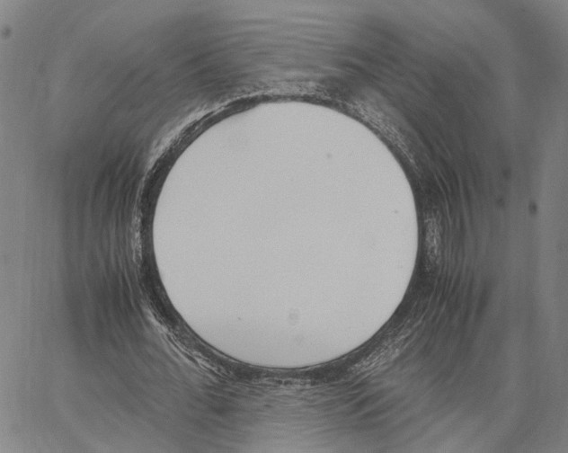 X0000062870676200602101652