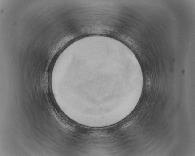 X0000062870678200602101652