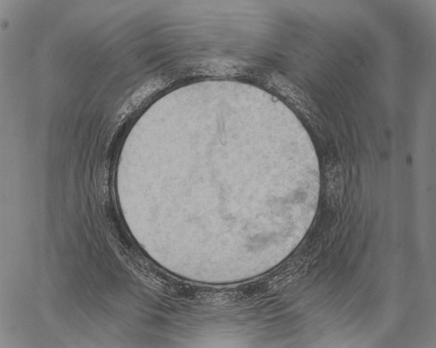 X0000062870679200602101652