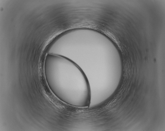 X0000062870680200602101652