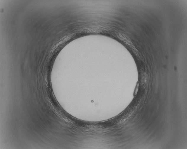 X0000062870681200602101652