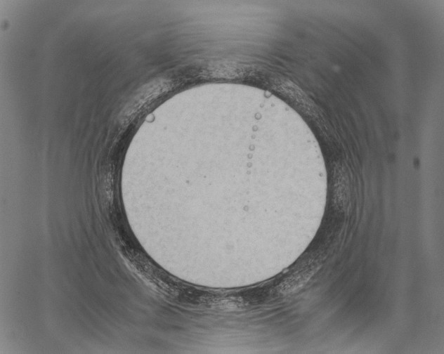 X0000062870683200602101652