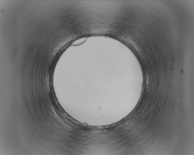 X0000062870684200602101652