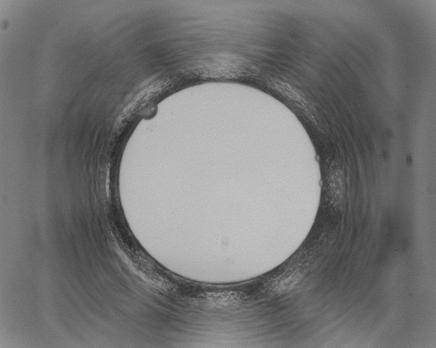 X0000062870686200602101652