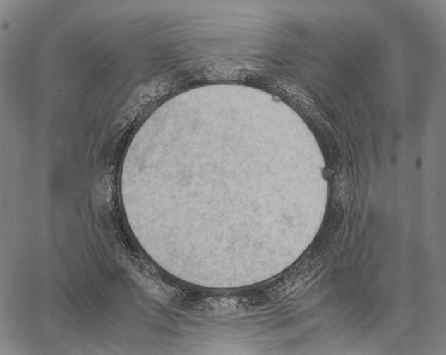 X0000062870687200602101652