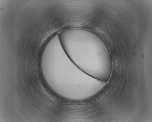 X0000062870688200602101652