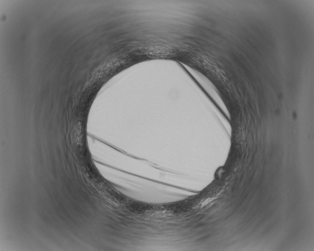 X0000062870689200602101652