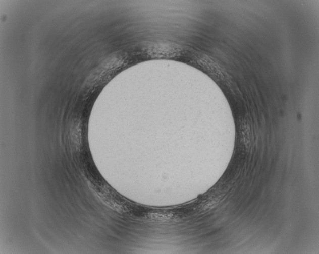 X0000062870690200602101652