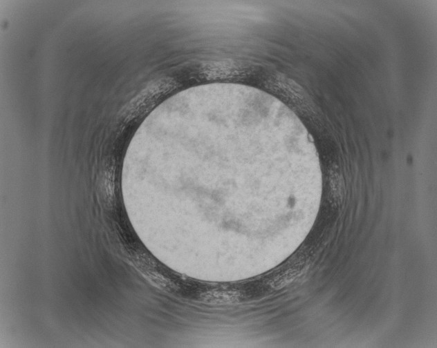 X0000062870691200602101652