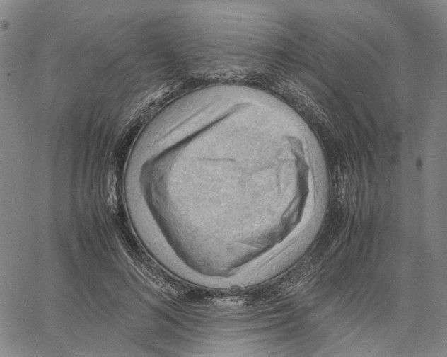 X0000062870692200602101652