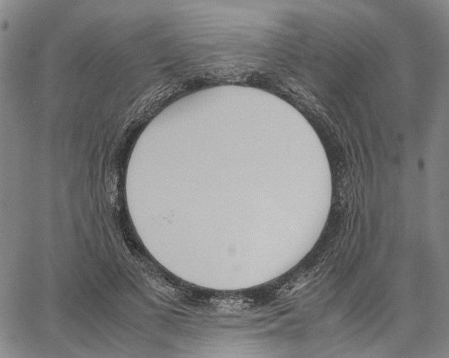 X0000062870693200602101652