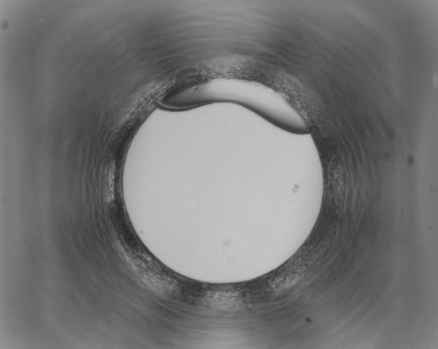 X0000062870694200602101652