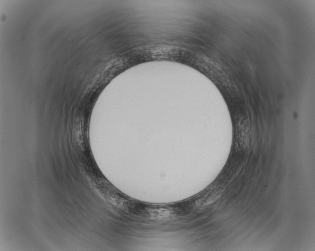 X0000062870698200602101652