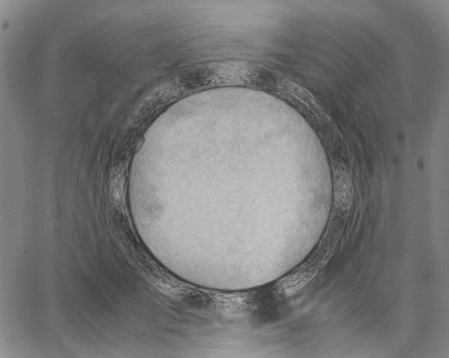 X0000062870701200602101652