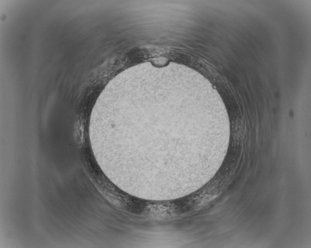 X0000062870703200602101652