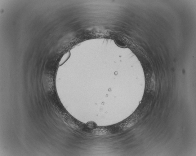 X0000062870704200602101652