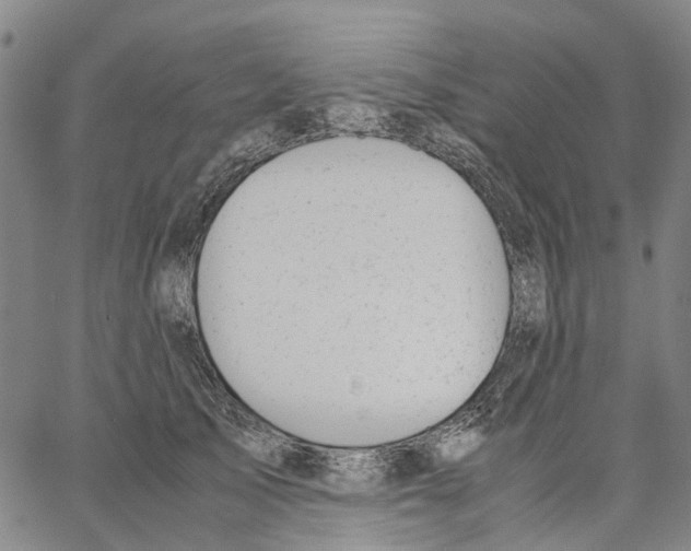 X0000062870705200602101652