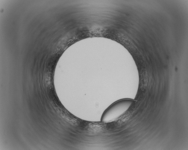 X0000062870706200602101652