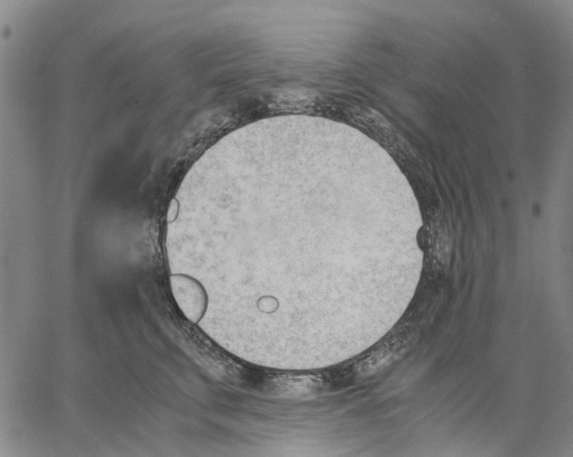 X0000062870711200602101651