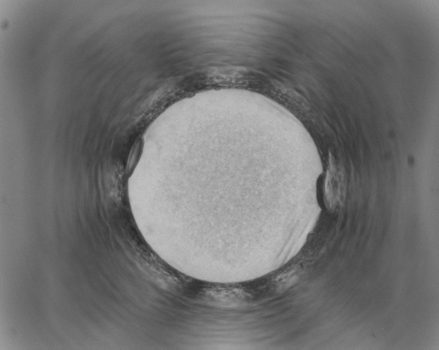 X0000062870712200602101651