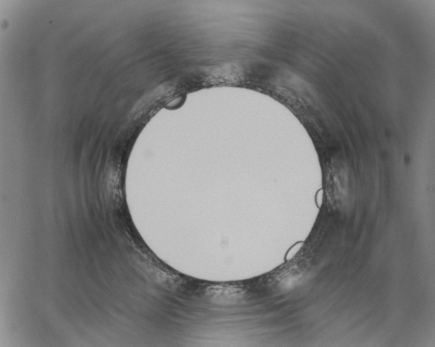 X0000062870714200602101651