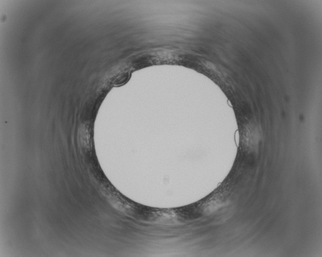 X0000062870715200602101651