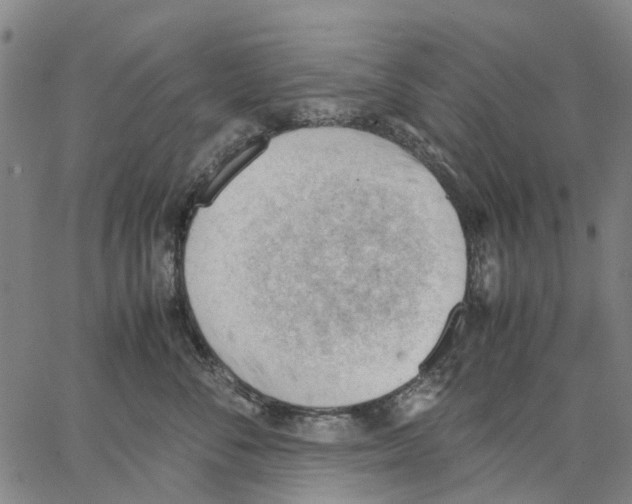 X0000062870716200602101651