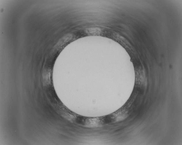 X0000062870717200602101651