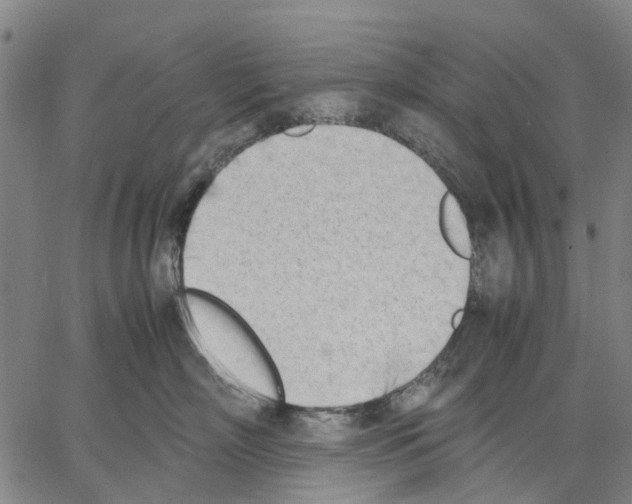 X0000062870718200602101651