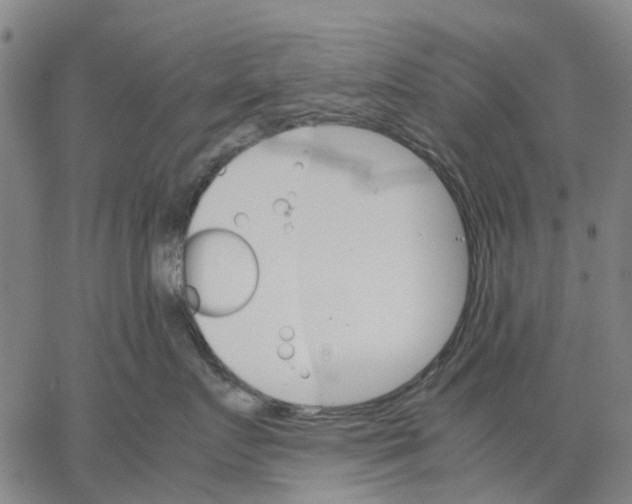 X0000062870719200602101651