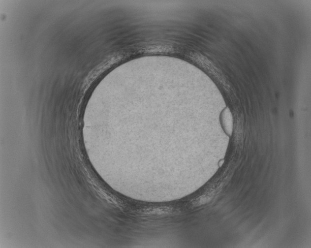 X0000062870721200602101651