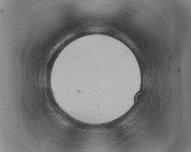 X0000062870722200602101651